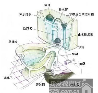 马桶结构图